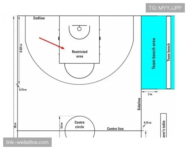 罚球规则NBA与FIBA区别在哪? 罚球规则NBA与FIBA区别在哪?